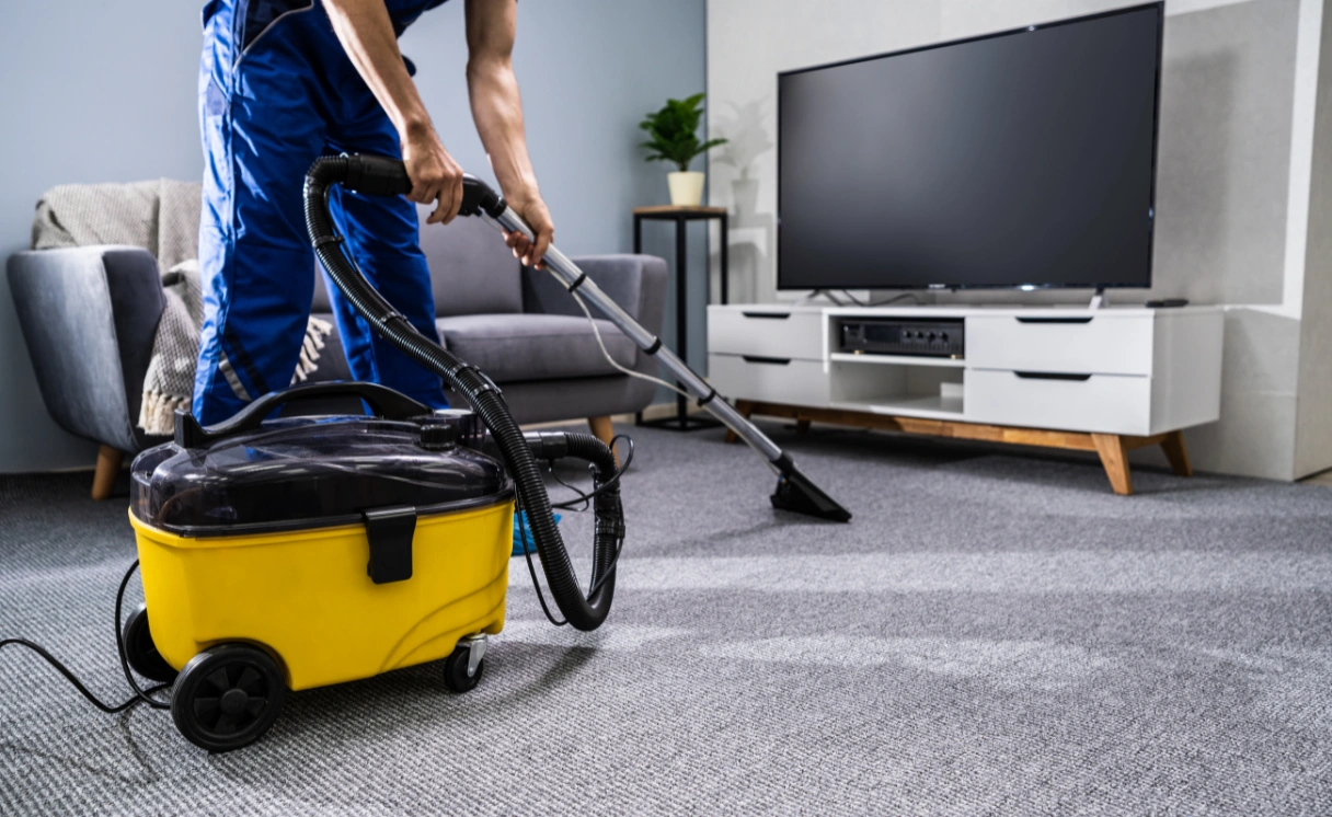 Extract Upholstery Cleaning Queenscliff Contact Office